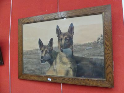 L On Danchin Une Lithographie Deux Malinois Num Rot E