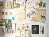 a lot of pictures on the wall of a room