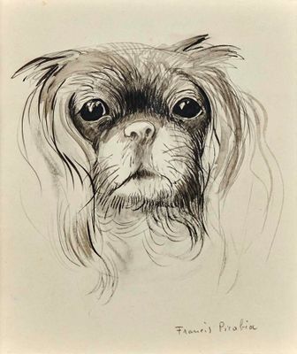 dessin représentant un dessin en noir et blanc du visage d'un chien