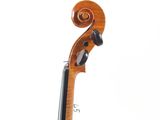a close up of a violin on a white background with a white background