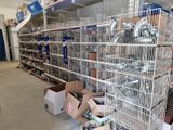 de nombreuses cages contenant des oiseaux dans un magasin