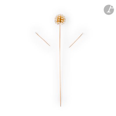 a close up of a flower on a stick with a white background