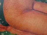 a painting of a woman in a bikini laying on the grass