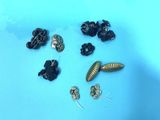 a lot of small items that are on a blue surface