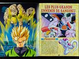 Photo 10/47 du lot