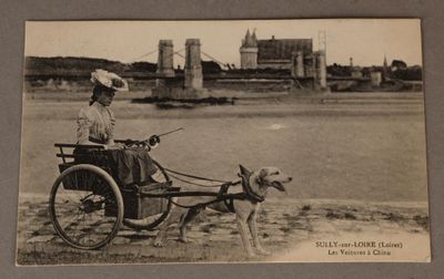 une vieille photo d'une femme et de son chien dans une calèche