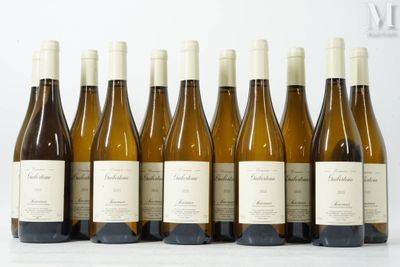 six bouteilles de vin sont alignées sur une table