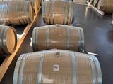 Plusieurs tonneaux de vin sont alignés dans une pièce