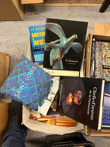 2 cartons de livres d’art, de peinture et divers dont TORRE catal...