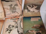 Plusieurs vieux livres sont posés sur une table devant un fond blanc.