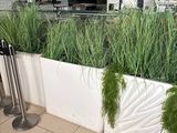 many plants growing in the planters on the counter
