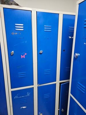 several blue lockers are lined up in a row with a bird perched on one of them
