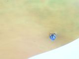 a blue object in the water next to a white object