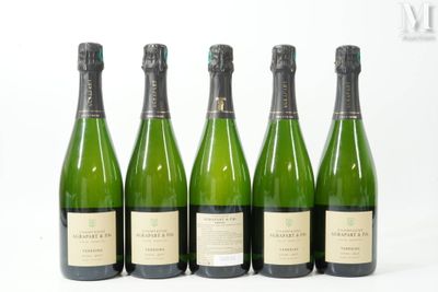 six bouteilles de champagne alignées sur une surface blanche