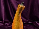 une courge orange et verte posée sur un tissu violet