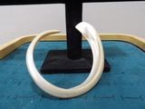une image représentant une bague composée de défenses blanches posée sur un socle noir