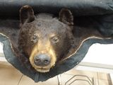 un ours en peluche assis sur un lit