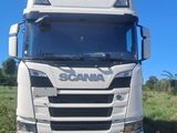 un camion blanc garé dans l'herbe