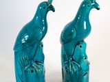 deux oiseaux bleus perchés l'un sur l'autre