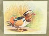 a painting of a duck that is standing in the grass
