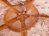 a close up of a piece of bread with a cross drawn on it