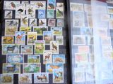 une photo d'une collection de timbres sur une table