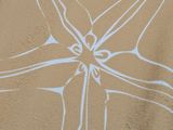 a white drawing on the side of a building