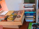 Photo 4/4 du lot