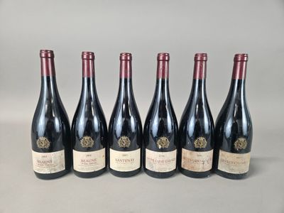 six bouteilles de vin sont alignées sur une table