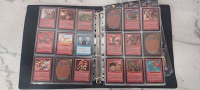 un gros plan sur un classeur contenant tout un tas de fiches