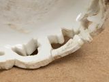 a close up of a white vase on a table