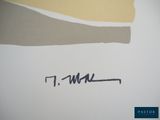 an image of a piece of art that is on a wall