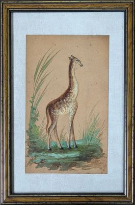 tableau représentant une girafe debout dans l'herbe, dans un cadre