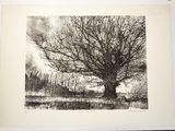 une photo représentant un dessin d'un arbre dans un champ