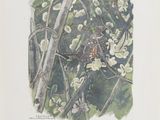 a bird that is sitting on a branch of a tree