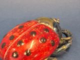 an image of a red ladybug sitting on top of a blue surface