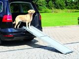 un chien debout sur une rampe à l'arrière d'une voiture