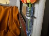 a vase with a flower inside of it on the wall