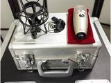 two microphones sitting on top of a silver case