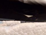 a close up of a toilet seat with a toilet paper roll in it