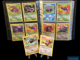 il y a plein de cartes Pokémon différentes dans le paquet