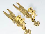 pair of antique brass door handles with eagle heads on them