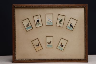a picture of a picture of birds on display in a frame
