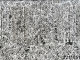 dessin en noir et blanc représentant une ville avec de nombreux bâtiments