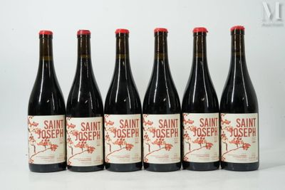 six bouteilles de vin sont alignées sur une surface blanche