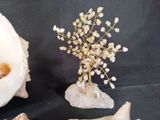 a small vase with a plant inside of it next to other shells