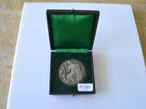 une médaille d'argent dans une boîte verte posée sur une table