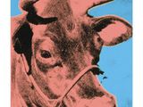 une image représentant une vache avec un « bruxee » sur le museau