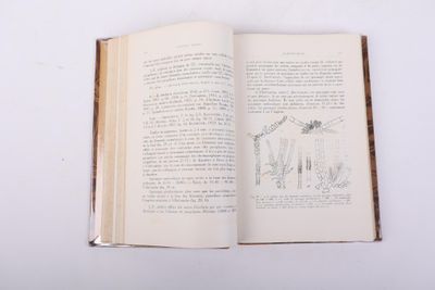 HAMEL (Gontran) Phéophycées de France.