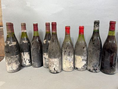 des bouteilles de vin sont alignées sur une table